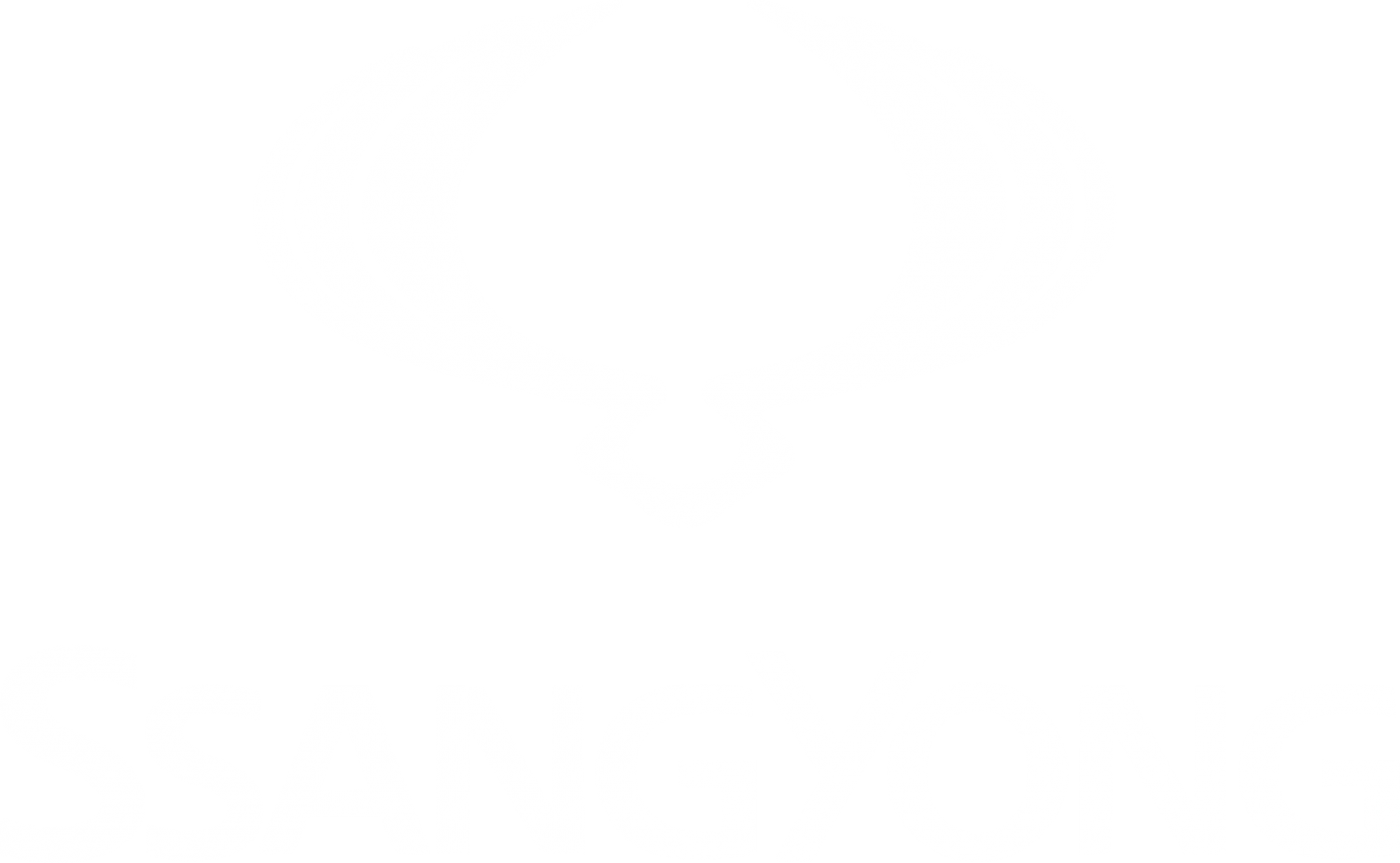 SsangYong